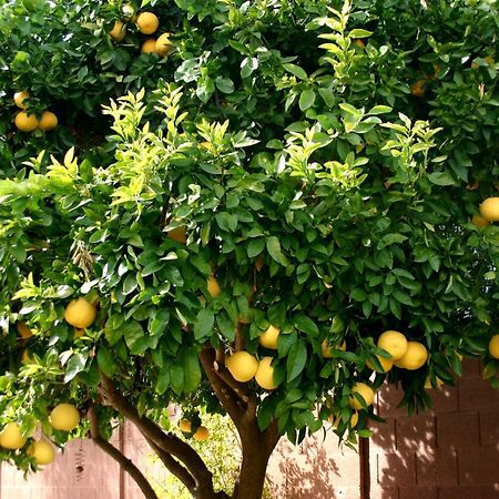 Lemon Tree Hotel Donji Seget Exterior foto